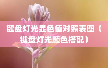 键盘灯光显色值对照表图（键盘灯光颜色搭配）