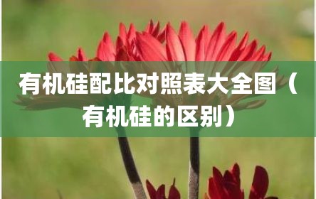 有机硅配比对照表大全图（有机硅的区别）