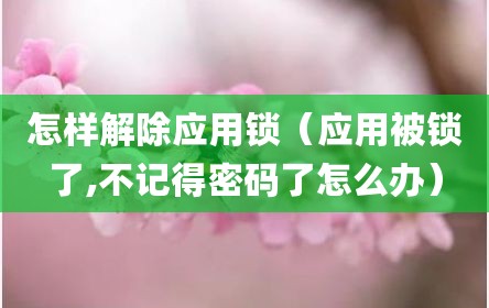 怎样解除应用锁（应用被锁了,不记得密码了怎么办）