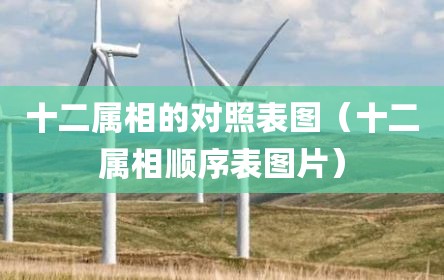 十二属相的对照表图（十二属相顺序表图片）