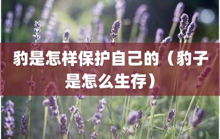 豹是怎样保护自己的（豹子是怎么生存）