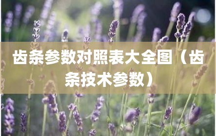 齿条参数对照表大全图（齿条技术参数）