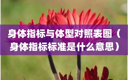 身体指标与体型对照表图（身体指标标准是什么意思）