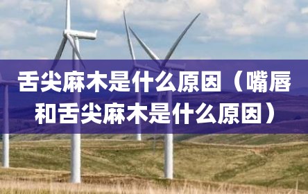 舌尖麻木是什么原因（嘴唇和舌尖麻木是什么原因）