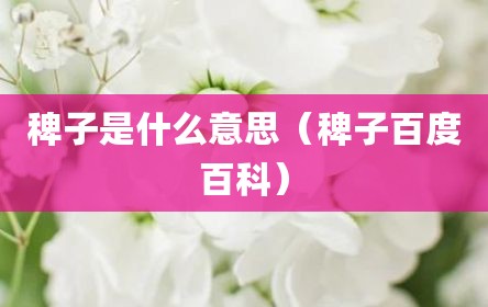 稗子是什么意思（稗子百度百科）