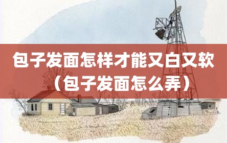 包子发面怎样才能又白又软（包子发面怎么弄）
