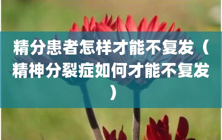 精分患者怎样才能不复发（精神分裂症如何才能不复发）