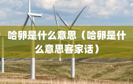 哈卵是什么意思（哈卵是什么意思客家话）