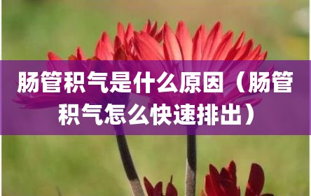 肠管积气是什么原因（肠管积气怎么快速排出）