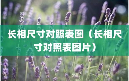 长相尺寸对照表图（长相尺寸对照表图片）