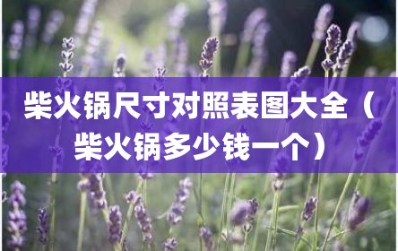 柴火锅尺寸对照表图大全（柴火锅多少钱一个）