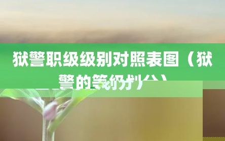 狱警职级级别对照表图（狱警的等级划分）
