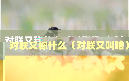 对联又称什么（对联又叫啥）