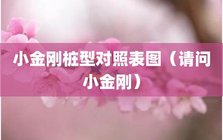 小金刚桩型对照表图（请问小金刚）