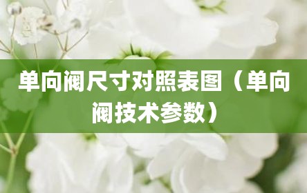 单向阀尺寸对照表图（单向阀技术参数）