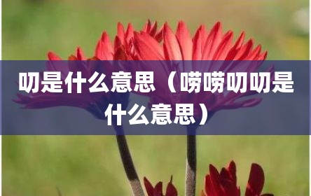 叨是什么意思（唠唠叨叨是什么意思）