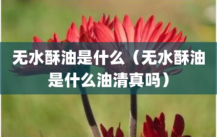无水酥油是什么（无水酥油是什么油清真吗）