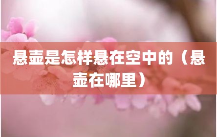 悬壶是怎样悬在空中的（悬壶在哪里）