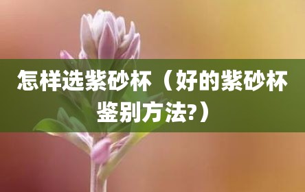 怎样选紫砂杯（好的紫砂杯鉴别方法?）