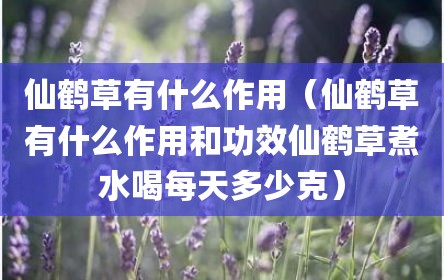 仙鹤草有什么作用（仙鹤草有什么作用和功效仙鹤草煮水喝每天多少克）