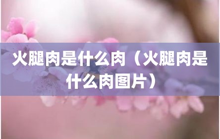 火腿肉是什么肉（火腿肉是什么肉图片）