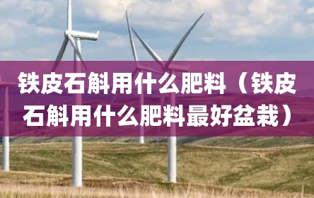 铁皮石斛用什么肥料（铁皮石斛用什么肥料最好盆栽）
