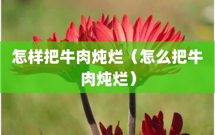 怎样把牛肉炖烂（怎么把牛肉炖烂）