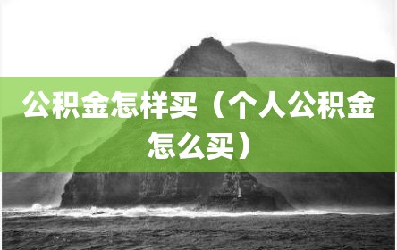公积金怎样买（个人公积金怎么买）