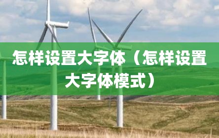 怎样设置大字体（怎样设置大字体模式）