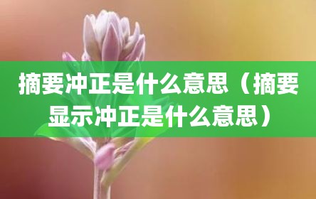 摘要冲正是什么意思（摘要显示冲正是什么意思）