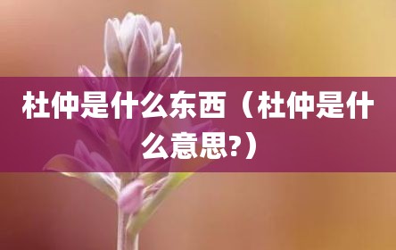 杜仲是什么东西（杜仲是什么意思?）