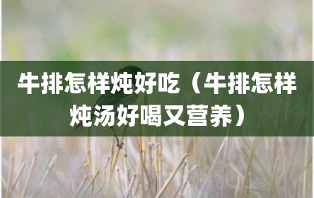 牛排怎样炖好吃（牛排怎样炖汤好喝又营养）