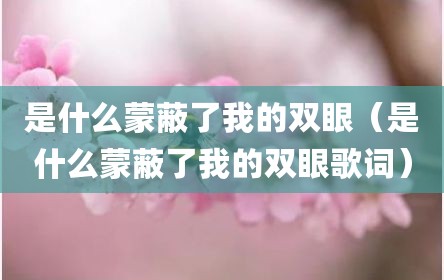 是什么蒙蔽了我的双眼（是什么蒙蔽了我的双眼歌词）