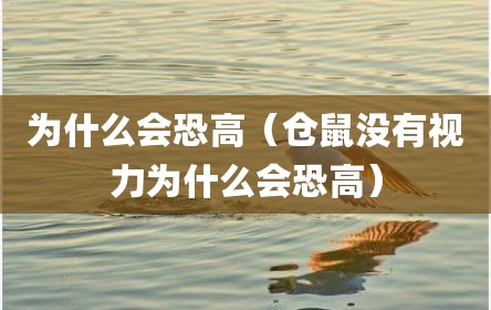 为什么会恐高（仓鼠没有视力为什么会恐高）