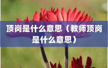 顶岗是什么意思（教师顶岗是什么意思）