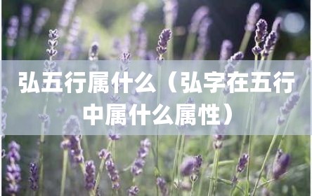 弘五行属什么（弘字在五行中属什么属性）