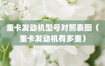 重卡发动机型号对照表图（重卡发动机有多重）