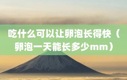 吃什么可以让卵泡长得快（卵泡一天能长多少mm）