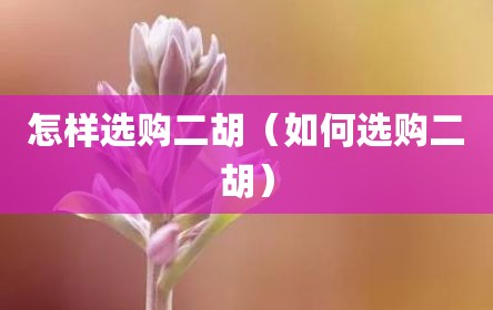 怎样选购二胡（如何选购二胡）