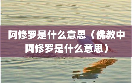 阿修罗是什么意思（佛教中阿修罗是什么意思）