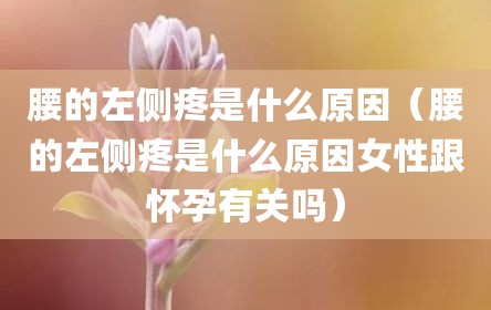 腰的左侧疼是什么原因（腰的左侧疼是什么原因女性跟怀孕有关吗）