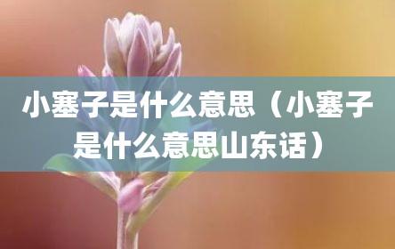 小塞子是什么意思（小塞子是什么意思山东话）