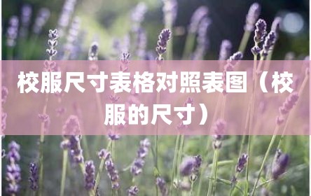 校服尺寸表格对照表图（校服的尺寸）