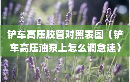 铲车高压胶管对照表图（铲车高压油泵上怎么调怠速）