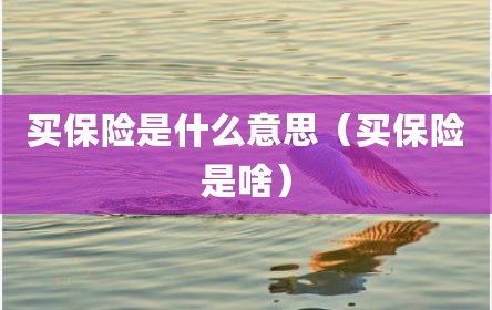 买保险是什么意思（买保险是啥）