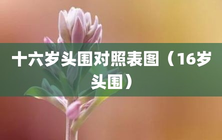 十六岁头围对照表图（16岁头围）
