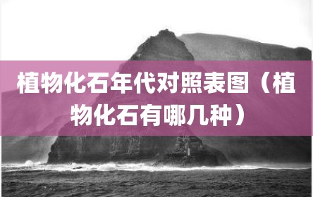 植物化石年代对照表图（植物化石有哪几种）