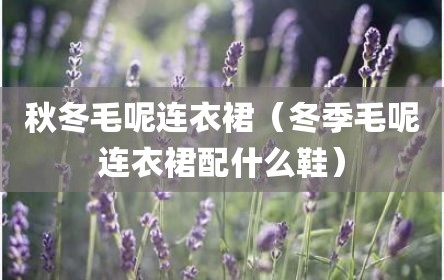 秋冬毛呢连衣裙（冬季毛呢连衣裙配什么鞋）