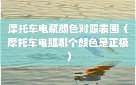 摩托车电瓶颜色对照表图（摩托车电瓶哪个颜色是正极）