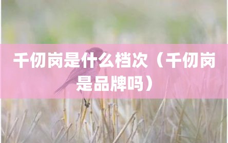 千仞岗是什么档次（千仞岗是品牌吗）